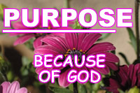 purpose button